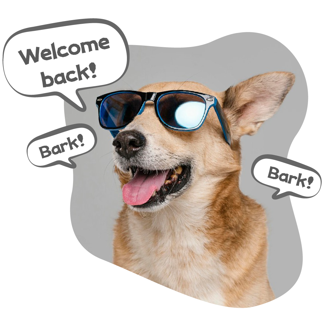 Login Dog